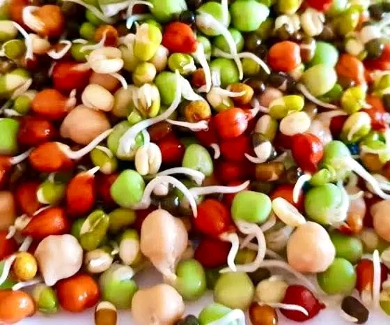 जनै पूर्णिमामा क्वाँटी खाने परम्परा