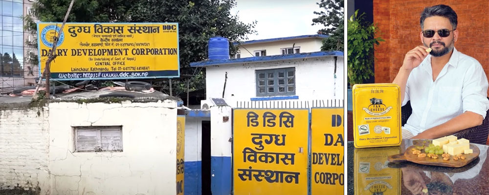 डिडिसी चिजको बजार प्रवर्धन हुने अपेक्षा